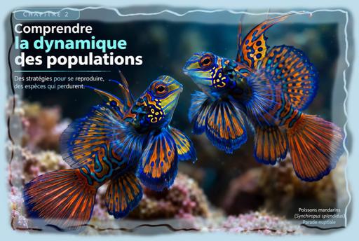 Cliquez pour agrandir l'image