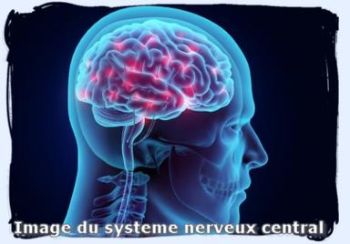Cliquez pour agrandir l'image